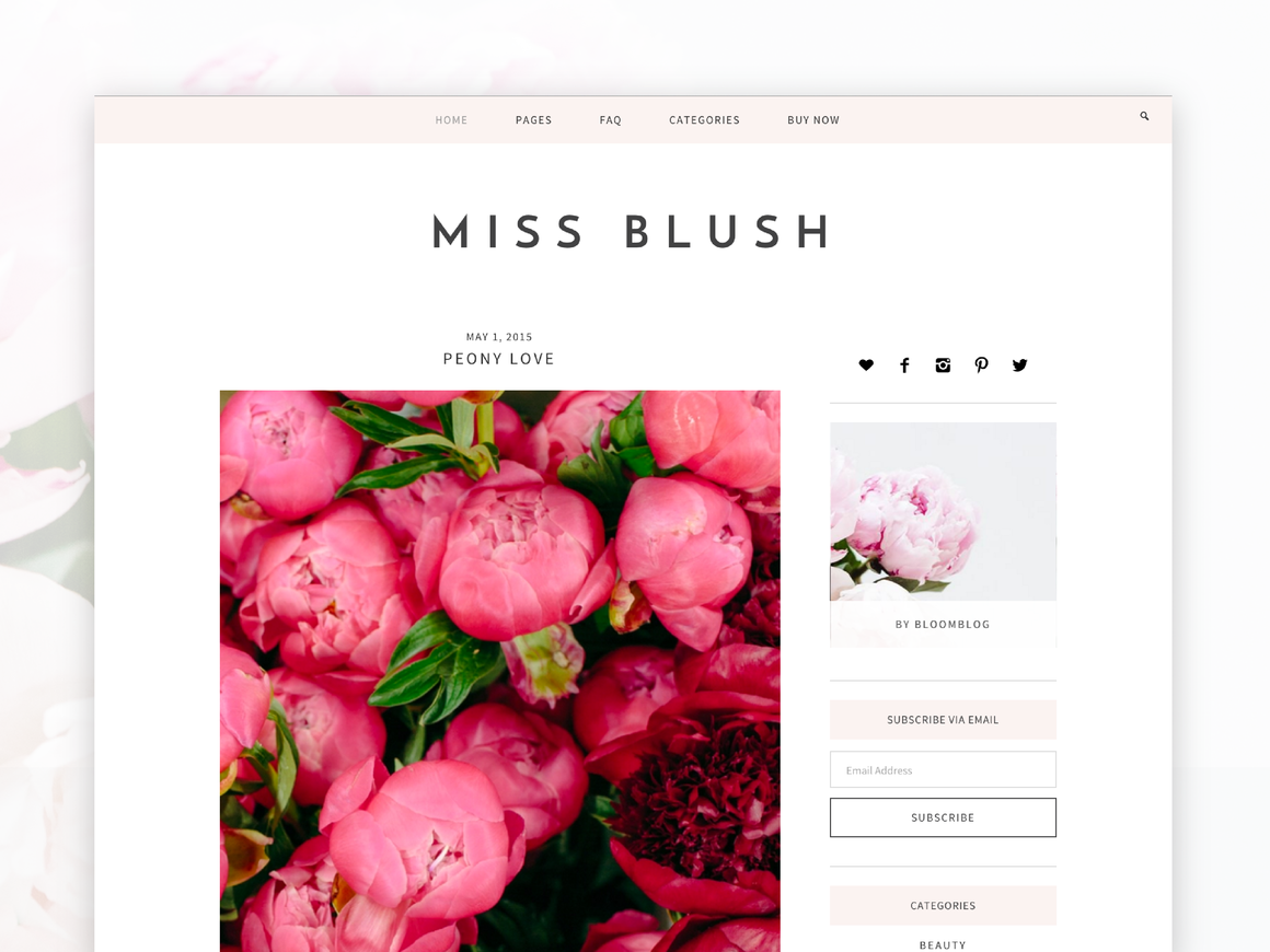 Wordpress Themes for Bloggers