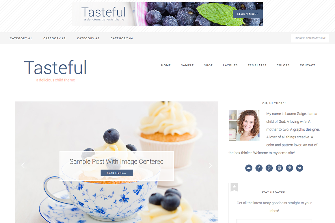Wordpress Themes for Bloggers