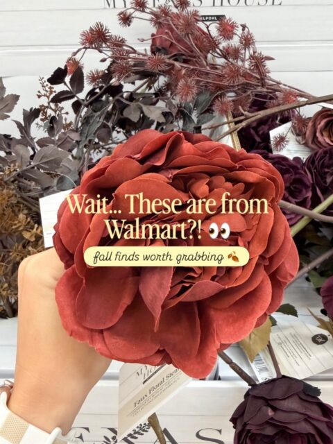 Wait… these are from Walmart?! 👀🍂

I found SO many good fall home finds on my latest Walmart run — from cozy blankets and pretty florals to pumpkins, candles, and decor that looks way more expensive than it is.

🤎 If you’re refreshing your home for fall, SAVE this for your next Walmart trip!

💬 Comment SHOP and I’ll send you the links!

#WalmartFinds #WalmartHome #FallDecor #FallHomeDecor #AffordableHomeDecor / https://liketk.it/6mqbP